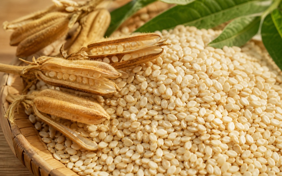 White sesame seeds with sesame pods